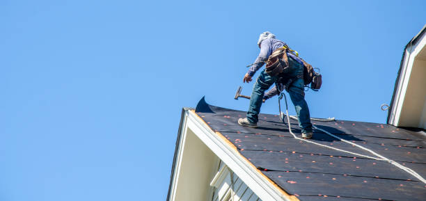 Roof Gutter Cleaning in Middletown, DE